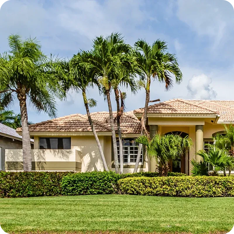 Florida front lawn