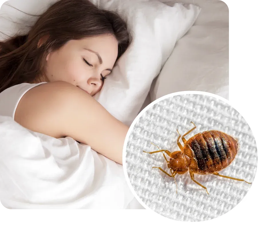 woman sleeping in bed