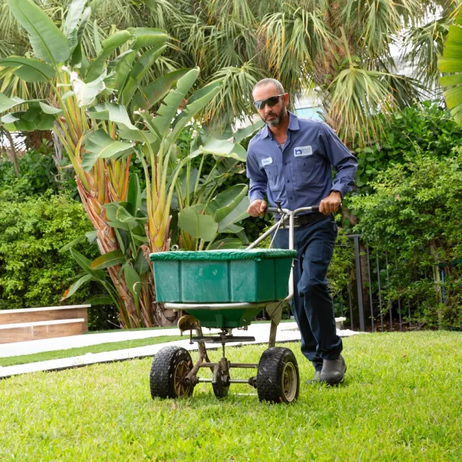 technician fertilizing lawn